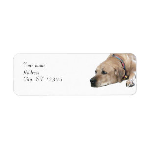 Älsklings- Rhodesian Ridgeback hundbild Returadress Etikett