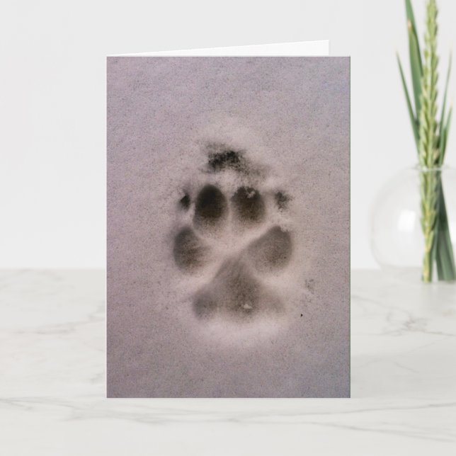 Älsklings- sympati- eller räddingkort (hunden) kort (Framsida)