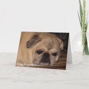 Älsklings- sympatikortmops kort