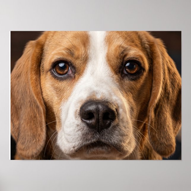 älskvärd Beagle hundaffisch Poster (Framsidan)