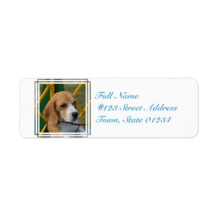 Älskvärd Beagle Returadress Etikett