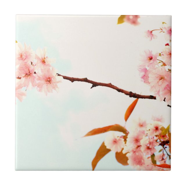 Älskvärd japansk körsbärsröd blommar kakelplatta (Framsidan)