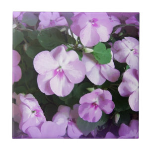Älskvärd lavendel Impatiens Kakelplatta