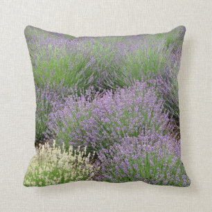 Älskvärd lavendel kudde