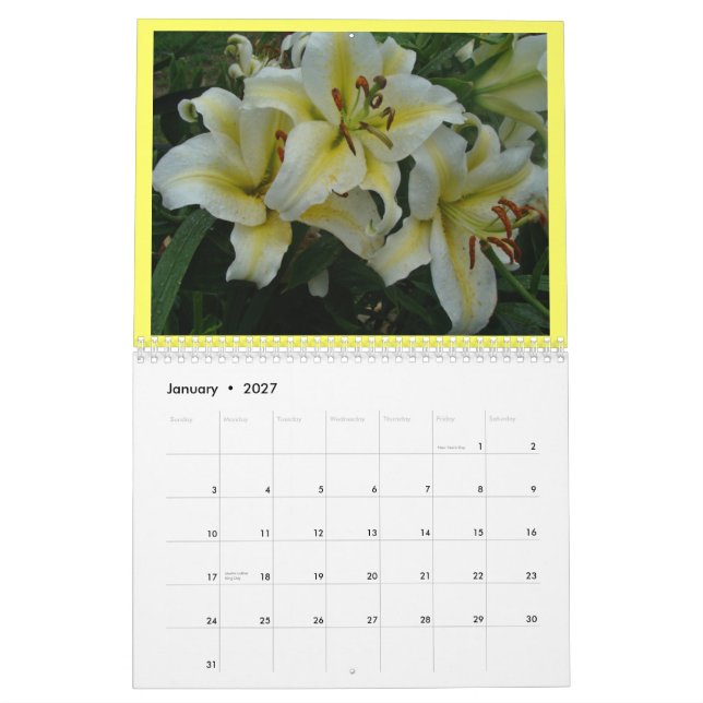 Älskvärd liljakalenderändring året som önskat kalender (Jan 2027)