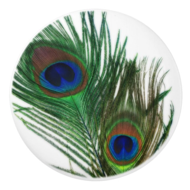 Älskvärd påfågelfjäder knopp (Framsidan)