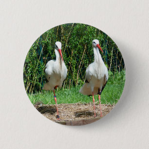 Älskvärd Stork Knapp