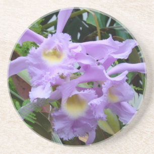 Älskvärda lavendelOrchids Underlägg