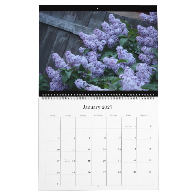 Älskvärda lilor kalender för 12 månad (Jan 2027)