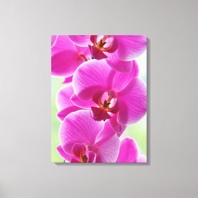 Älskvärda rosa Orchids Canvastryck (Framsida)