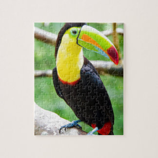 Älskvärda Toucan Pussel