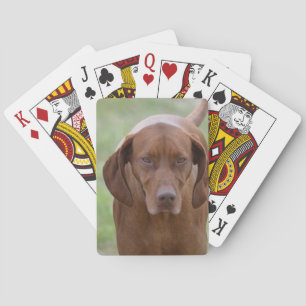 Älskvärda Vizsla Kortlek