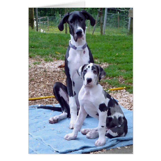 Älskvärt kort för 6m artillerist 3m (Framsidan)