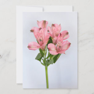 Alstroemeria Flowers Inbjudningar