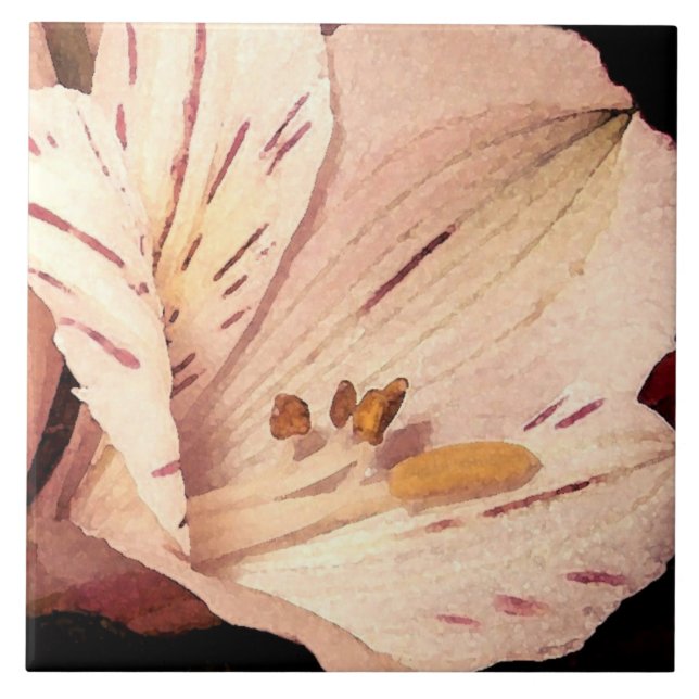 Alstroemeria i blom kakelplatta (Framsidan)