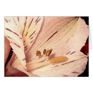 Alstroemeria in bloom hälsningskort