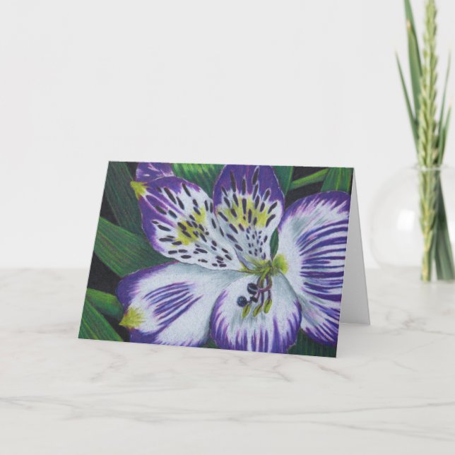 Alstroemeria Kort (Framsida)