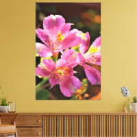 Alstroemeria Lilly Stunning Blommigt Rosa i fetsti