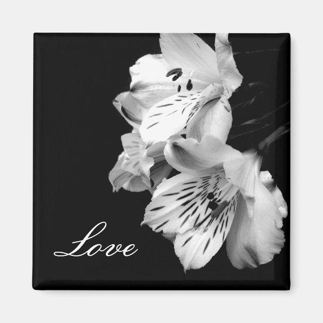 Alstroemeria Lily Kärlek Magnet (Framsidan)