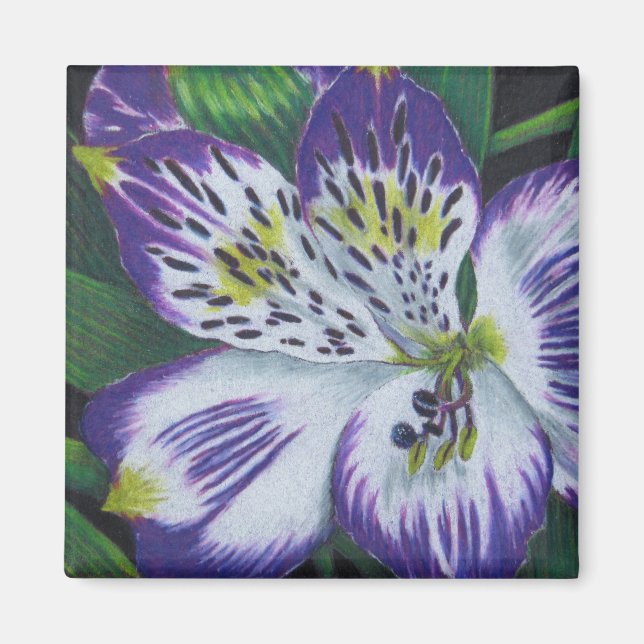 Alstroemeria Magnet (Framsidan)