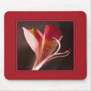 Alstroemeria Mousepad Musmatta