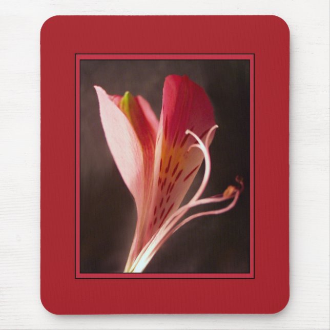 Alstroemeria Mousepad Musmatta (Framsidan)