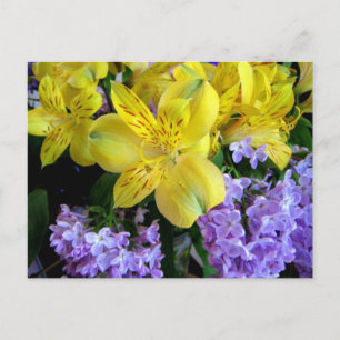 Alstroemeria och Lilacs Flowers vykort