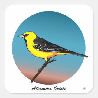 Altamira Oriole rev.2.0 Buttons & Stickers Fyrkantigt Klistermärke
