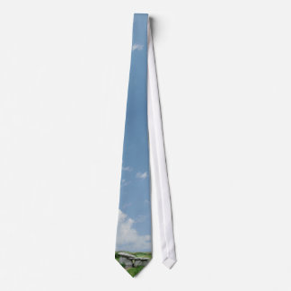 Altare formad Archeological gravIrland Tie Slips