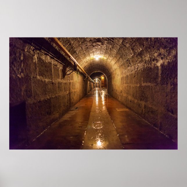 Alte Saline Salt Mine Tunnel Poster (Framsidan)