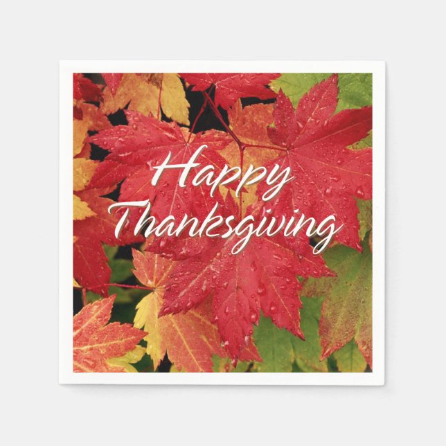 Alternativ för Happy thanksgiving 8 Pappersservett (Framsidan)