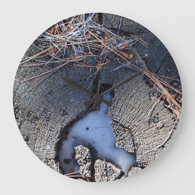 Alternativ för trätskur enligt artikel 2 stor klocka (Framsida)