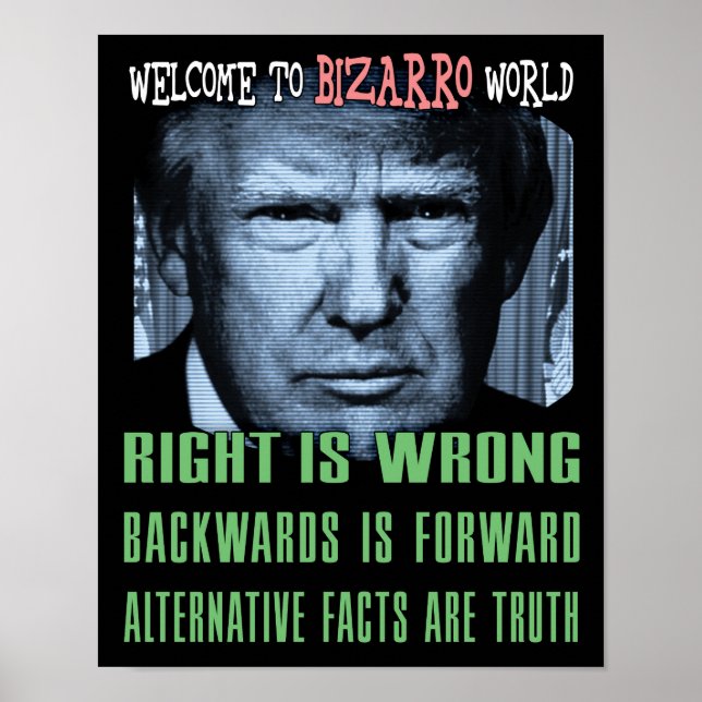 Alternativa fakta är sanning - Anti-President Trum Poster (Framsidan)