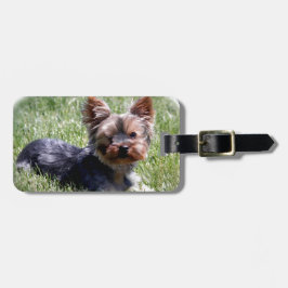 Alternativa Yorkie Många-produkter valda Bagagebricka