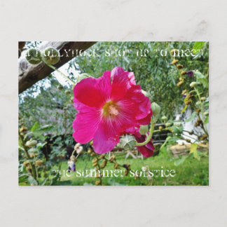 Althaea- vykort