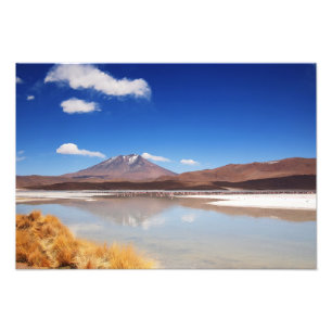 Altiplano landskap med vulkan i Bolivia Fototryck