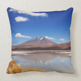 Altiplano landskap med vulkan i Bolivia Kudde