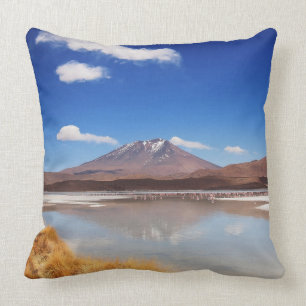 Altiplano landskap med vulkan i Bolivia Kudde