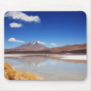 Altiplano landskap med vulkan i Bolivia Musmatta