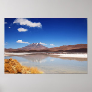 Altiplano landskap med vulkan i Bolivia Poster