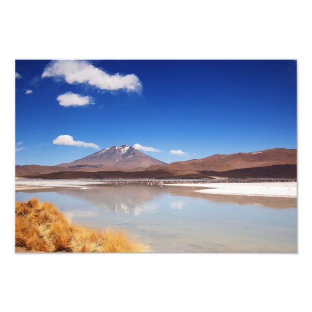 Altiplanolandskapet med vulkanen i Bolivia Fototryck (Framsidan)