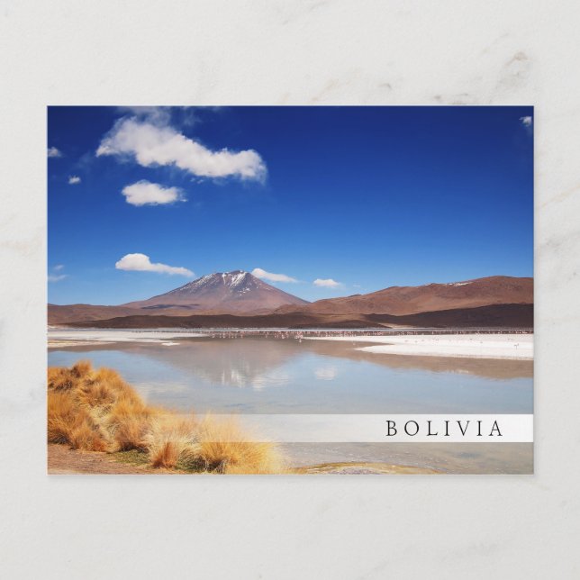 Altiplanolandskapet med vulkanen i Bolivia Vykort (Framsida)