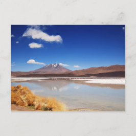 Altiplanolandskapet med vulkanen i Bolivia Vykort