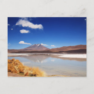 Altiplanolandskapet med vulkanen i Bolivia Vykort