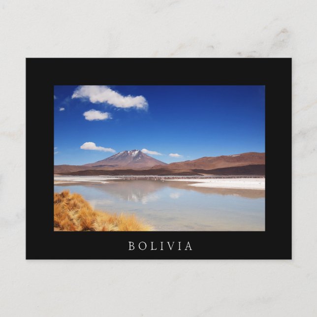 Altiplanolandskapet med vulkanen i Bolivia Vykort (Framsida)