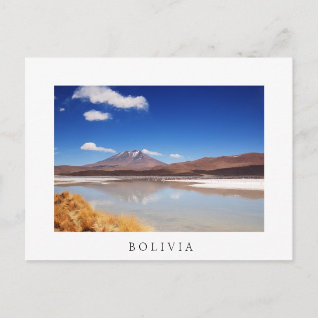 Altiplanolandskapet med vulkanen i Bolivia Vykort (Framsida)