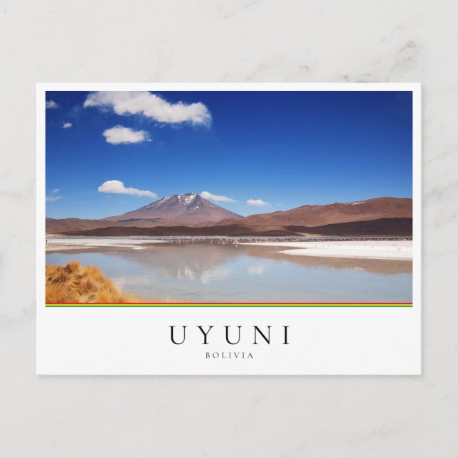 Altiplanolandskapet med vulkanen i Uyuni, Bolivia Vykort (Framsida)
