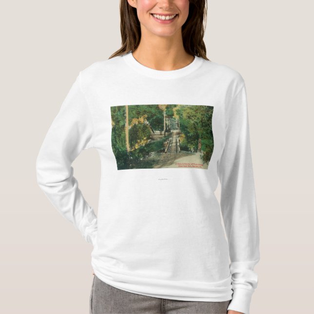 Alumsten parkerar picknickjordning som utsikten tee shirt (Framsida)