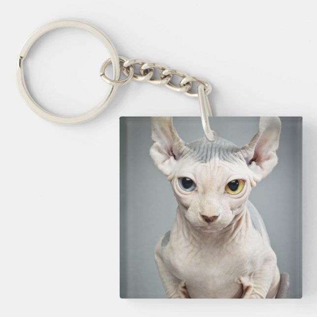 ÄlvaSphinxkatten fotograferar (Framsidan)