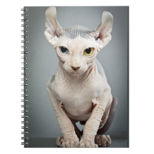 ÄlvaSphinxkatten fotograferar Anteckningsbok Med Spiral